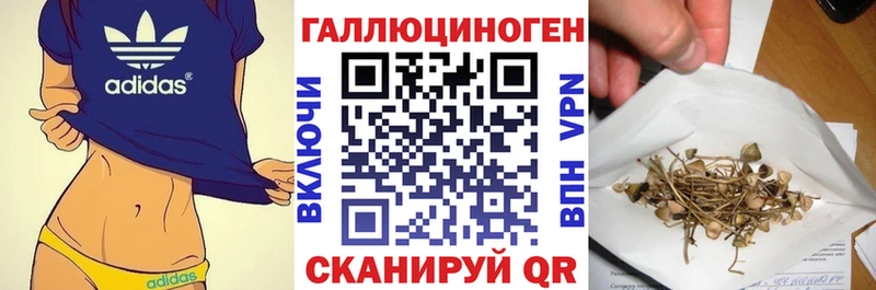 Галлюциногенные грибы GOLDEN TEACHER  Благовещенск 
